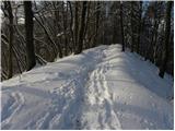 Stara Vrhnika - Koča na Planini nad Vrhniko